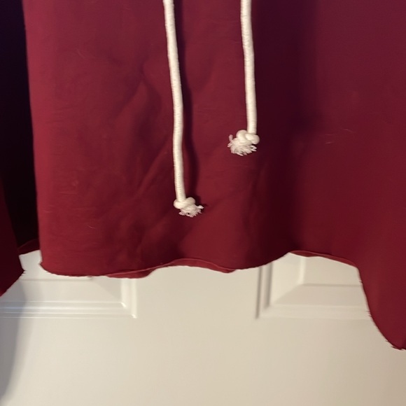 NWOT Wild Fable cotton/polyester maroon hooded cropped soft sweatshirt, Size L - Picture 2 of 6